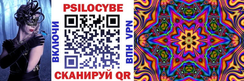 Псилоцибиновые грибы MAGIC MUSHROOMS где можно купить Мончегорск